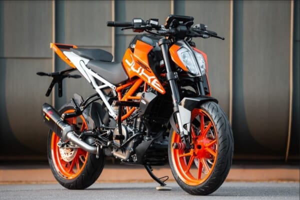 プロスタント愛用 KTM DUKE125/200/390(17-18)用 スタントケージ