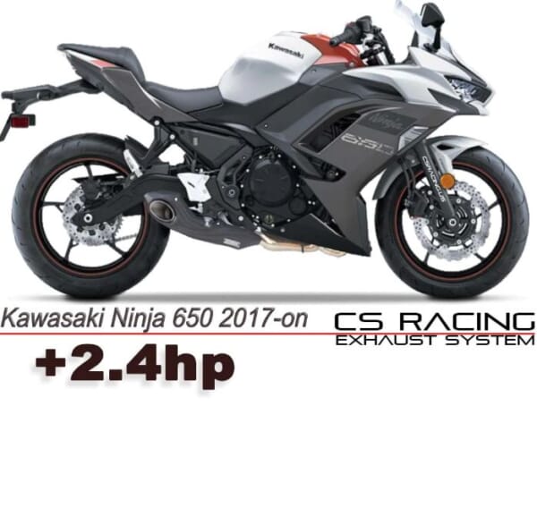 Ninja650/Z650にMOTOGPのようなサイド出しマフラーでかっこよく