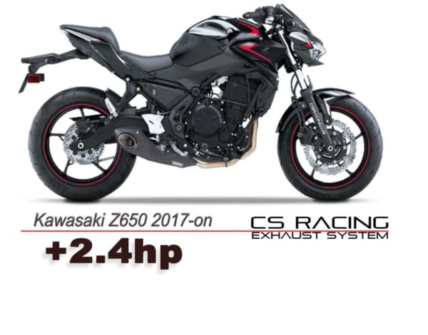 Ninja650/Z650にMOTOGPのようなサイド出しマフラーでかっこよく