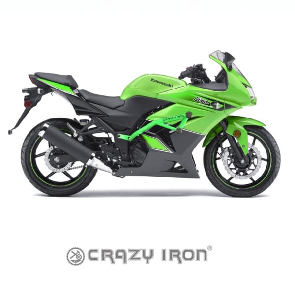 Ninja250R用スライダー付 レースアーマーで車体をガード｜AxxL