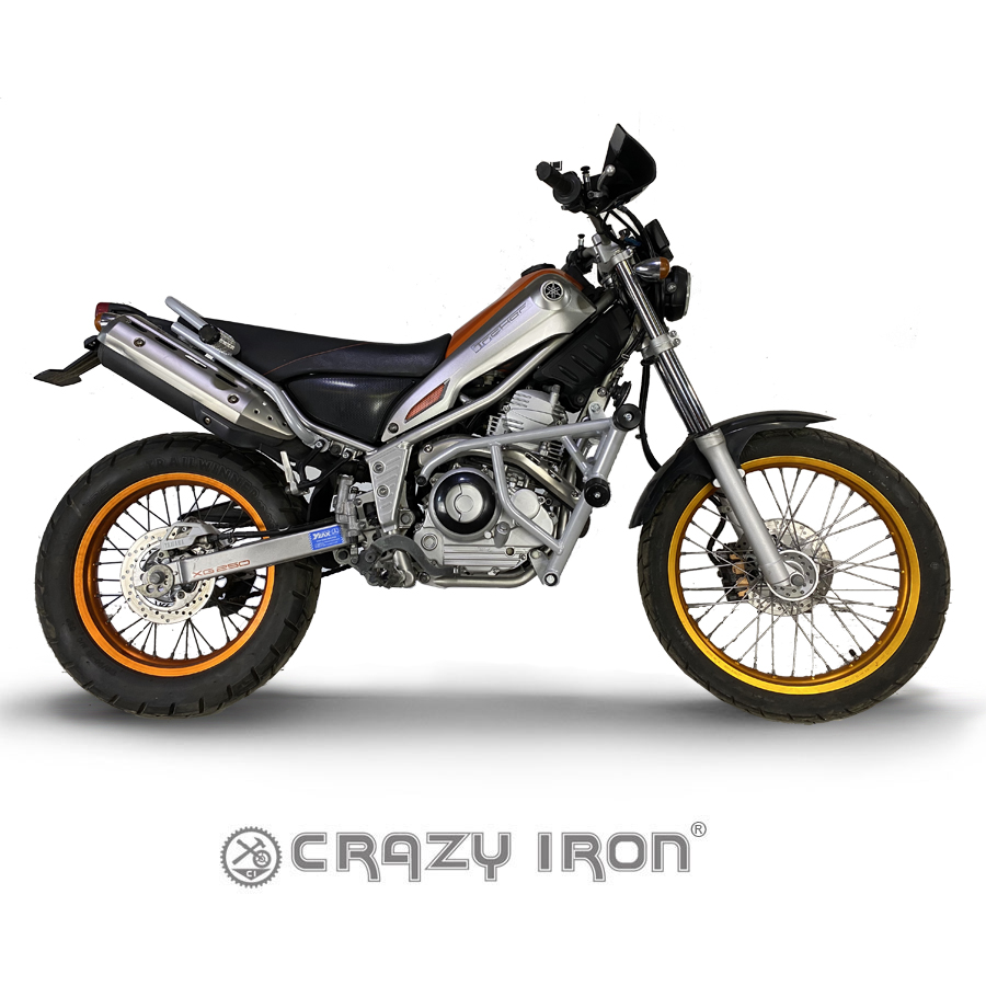 トリッカー XG250用 スタントやトライアルへのエンジンガード|AxxL