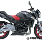 FZS600 (98-03) 車両をしっかり保護できるエンジンガード｜AxxL