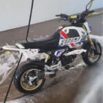 DKS グロム (21-) スタント用 サブケージ/ウィリーバー｜AxxL