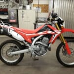 CRF7