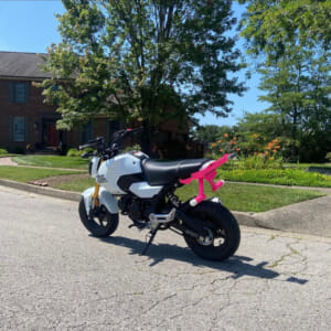 GROM Archives - AxxL