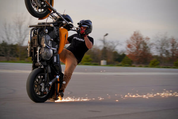 COCK'S ハーレー スポーツスター サブケージ/ウィリーバー｜AxxL