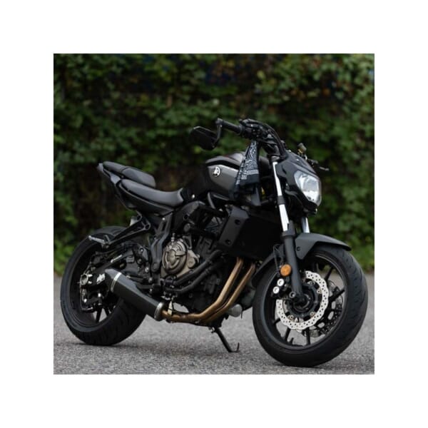 DIXER PARTS MT07 (14-24) スタントケージ｜AxxL