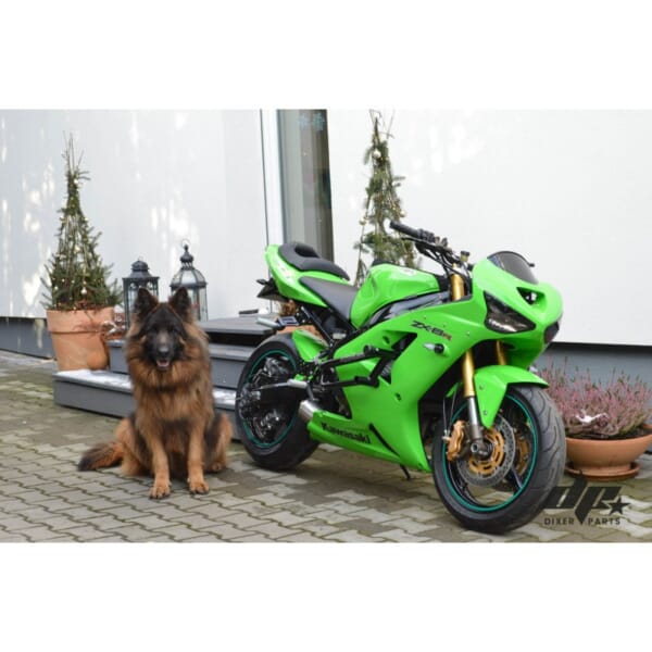 DIXER PARTS ZX6R (03-04) スタントケージ｜AxxL