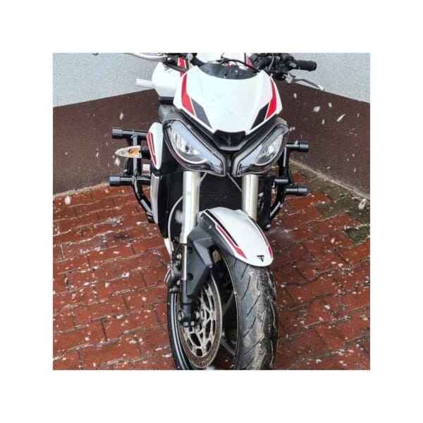 DIXER PARTS SPEED TRIPLE765 (17-24) スタントケージ｜AxxL