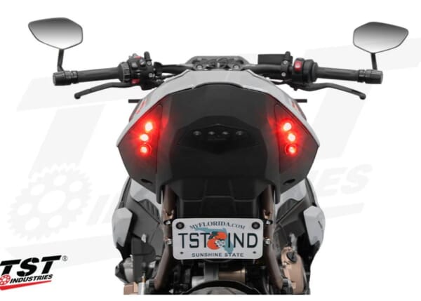 TST S1000R/M1000R ウィンカー内蔵 LEDテールライトキット ｜AxxL