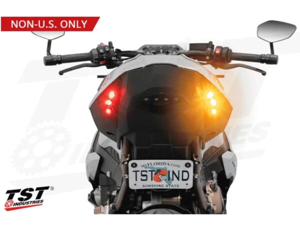 な様ig USテールライト カワサキニンジャZX9R / ZX6R 94-97用LEDテールライト