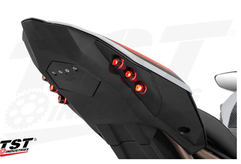 TST S1000R/M1000R ウィンカー内蔵 LEDテールライトキット ｜AxxL